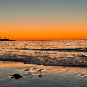 Meet your Posher, Josie